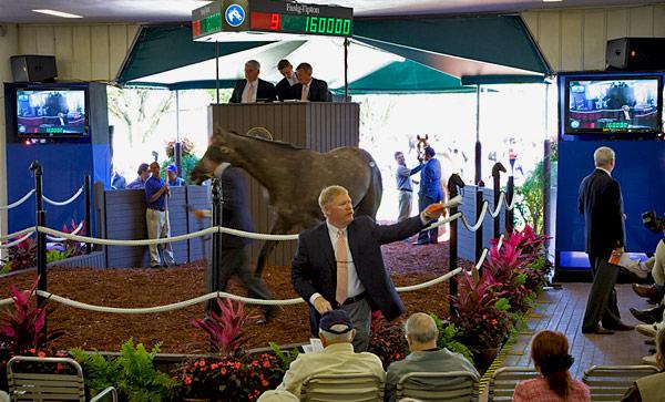 實(shí)時信息,多媒體信息發(fā)布系統(tǒng),數(shù)字標(biāo)牌,數(shù)字告示,電子廣告機(jī),電子看板,Digital Signage