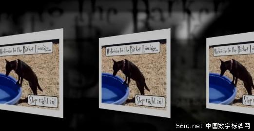 四項(xiàng)低成本的數(shù)字標(biāo)牌創(chuàng)意選擇,多媒體信息發(fā)布系統(tǒng),數(shù)字告示,數(shù)字標(biāo)牌,信息顯示系統(tǒng),digital signage