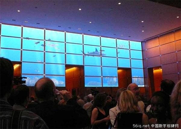 公司大堂數(shù)字標牌解決方案：數(shù)字標牌的新風景,多媒體信息發(fā)布系統(tǒng),聯(lián)網(wǎng)數(shù)字告示系統(tǒng),數(shù)字告示,數(shù)字標牌,信息顯示系統(tǒng),digital signage