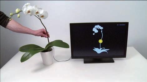 AV趣科技——微軟研發(fā)肌肉體感操作技術(shù),信息顯示系統(tǒng),多媒體信息發(fā)布系統(tǒng),數(shù)字標(biāo)牌,digital signage