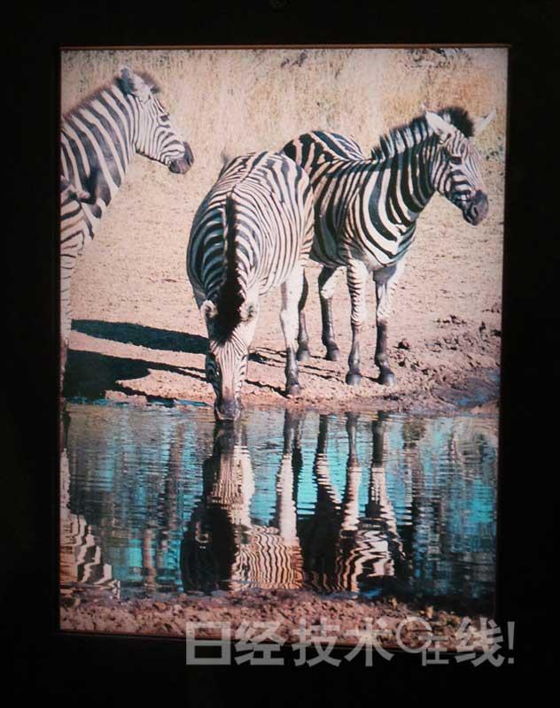 日本半導(dǎo)體能源研究所開發(fā)出“不傷眼顯示器”,信息顯示系統(tǒng),多媒體信息發(fā)布系統(tǒng),數(shù)字標(biāo)牌,digital signage 日本半導(dǎo)體能源研究所開發(fā)出“不傷眼顯示器”,信息顯示系統(tǒng),多媒體信息發(fā)布系統(tǒng),數(shù)字標(biāo)牌,digital signage