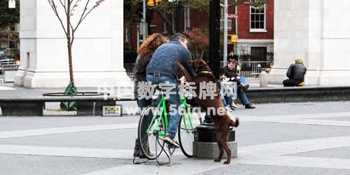 手機(jī)充電歡樂多：自行車人力發(fā)電，邊騎邊充電,信息顯示系統(tǒng),多媒體信息發(fā)布系統(tǒng),數(shù)字標(biāo)牌,digital signage