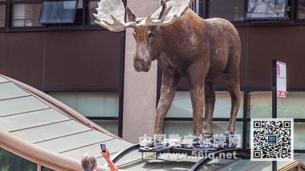 <a href='http://www.jsgfmy.com/webpage/tagsList.aspx?TagId=581'>戶外數(shù)字廣告</a>將蒙大拿廣闊天空帶到紐約,多媒體信息發(fā)布系統(tǒng),數(shù)字標牌,數(shù)字告示，digital signage