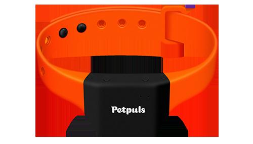 Petpuls智能寵物項圈,多媒體信息發(fā)布系統(tǒng),數(shù)字標牌,數(shù)字告示，digital signage