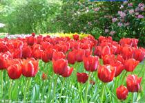 新建模板14040210232419